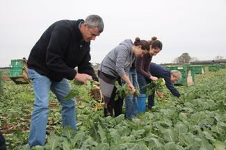 CS Faculty, Staff & Students Volunteer to Help Food Rescue Organization