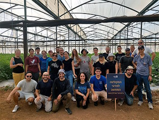 סטודנטים, עובדים וחברי סגל התנדבו היום בחממות העגבניות במושב גבע כרמל. חזקים ביחד!